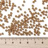 MIYUKI Round Rocailles Beads SEED-X0055-RR4457-4