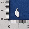 925 Sterling Silver Charms STER-D301-04S-04-3