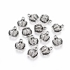 Tibetan Style Alloy Crown Charms EBB054Y-NF-1