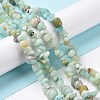 Natural Flower Amazonite Chips Beads Strands G-M205-12B-5