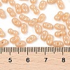 Baking Paint Glass Seed Beads SEED-L011-09A-15-4