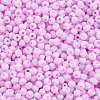 8/0 Opaque Glass Seed Beads X1-SEED-S048-N-004-3