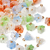 80Pcs 5 Colors Handmade Lampwork Charms FIND-TA0002-77-3