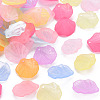 Transparent Frosted Acrylic Pendants MACR-S371-01A-1