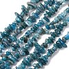 Natural Apatite Beads Strands X-G-F666-01B-02-01-2