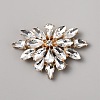 Alloy Crystal Rhinestone Shoe Buckle Clips FIND-WH0110-831-1