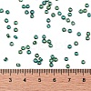 TOHO Round Seed Beads SEED-JPTR08-0179-4