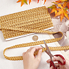 Polyester Braided Lace Trim OCOR-WH0078-09A-3