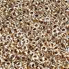 TOHO 6/0 Demi Round Beads SEED-DR06-0989-2