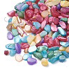 Shell Beads SHEL-R020-M-1
