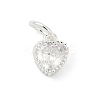 Brass Micro Pave Cubic Zirconia Pendants LS-KK-H204-01S-05-1