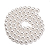 Baking Paint Pearlized Glass Pearl Round Bead Strands PEAR-H019-02B-04-3