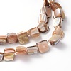 Erose Shell Beads Strands PBB071Y-3