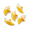 Opaque Resin Pendants LS-RESI-G040-B05-1