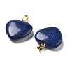 Dyed Blue Natural Sesame Jasper Pendants G-G956-B78-G-2