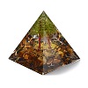 Orgonite Pyramid Resin Energy Generators DJEW-D013-06A-2