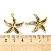 Natural Paua Shell Pendants X-STAS-P341-03G-01-3