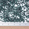 MIYUKI Round Rocailles Beads SEED-G007-RR0362-4