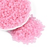 FGB Frosted Transparent Glass Seed Beads SEED-N013-04A-05-1