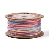 30M Segment Dyed Macrame Cotton Cord OCOR-T018-01F-1