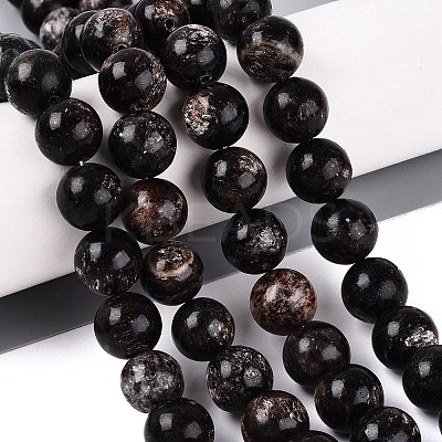 Natural Biotite Beads Strands G-Q616-01E-1