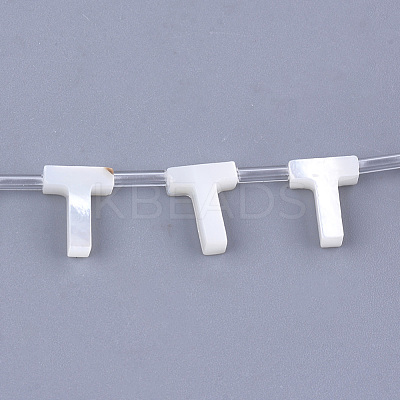 Natural Sea Shell Beads X-SHEL-T012-60T-1
