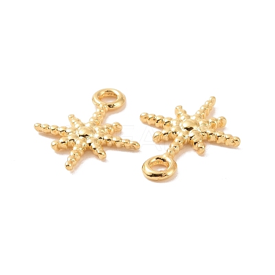 Ion Plating(IP) 304 Stainless Steel Charms X-STAS-F293-42G-1