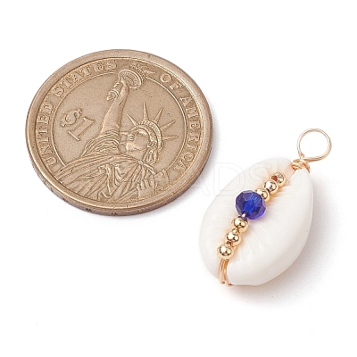 Natural Cowrie Shell Pendants PALLOY-JF02662-02-1