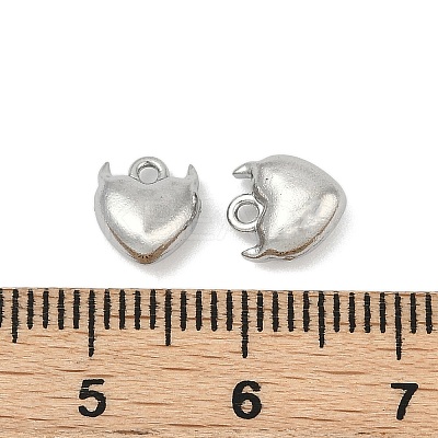 304 Stainless Steel Charms STAS-E500-05P-1