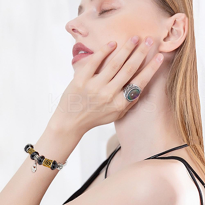 120Pcs 10 Styles Tibetan Style Alloy Beads Sets TIBEB-HY0001-10AG-1