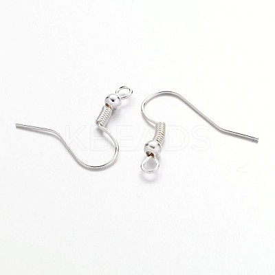 Iron Earring Hooks J07JW-S-1