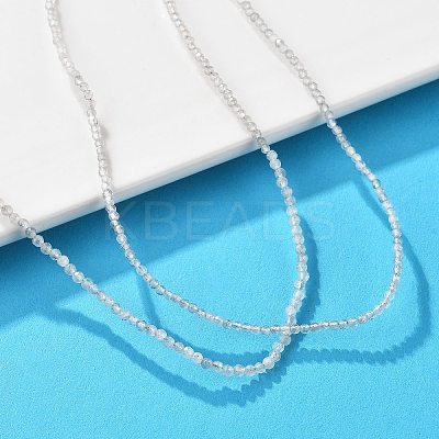 Natural Labradorite Beaded Necklaces NJEW-JN02492-07-1
