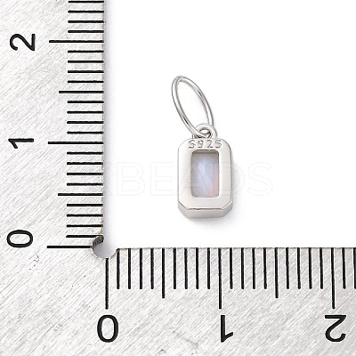 925 Sterling Silver Cubic Zirconia Charms STER-NH0014-01P-06-1