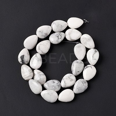 Natural Howlite Beads Strands G-L242-13-1