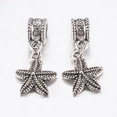 Tibetan Style Alloy European Dangle Charms PALLOY-F199-42AS-1