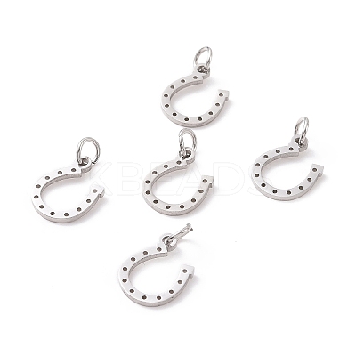 Tarnish Resistant 304 Stainless Steel Charms LS-STAS-S105-T519S-1