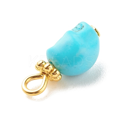 Dyed Synthetic Turquoise Charms PALLOY-JF01452-02-1