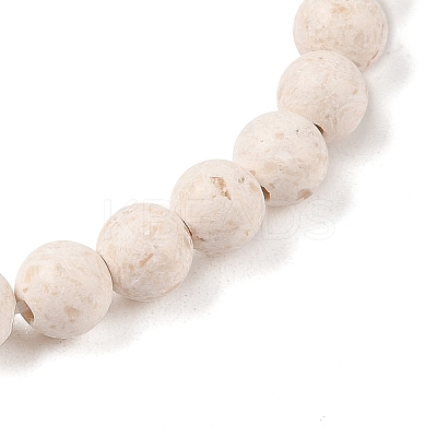 Natural Fossil Round Beaded Stretch Bracelets G-U005-01A-01-1