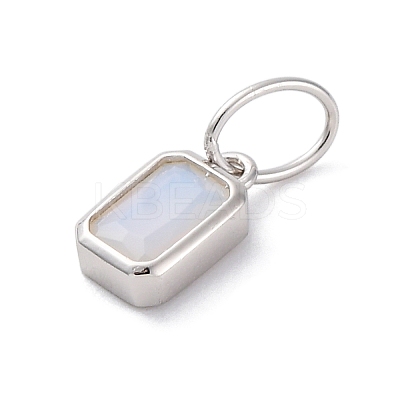 925 Sterling Silver Cubic Zirconia Charms STER-NH0014-01P-06-1