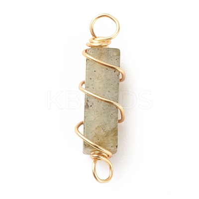 Natural Labradorite Connector Charms PALLOY-JF01580-01-1