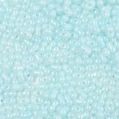 Baking Paint Glass Seed Beads SEED-L011-09A-08-1