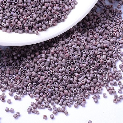 MIYUKI Delica Beads X-SEED-J020-DB1066-1