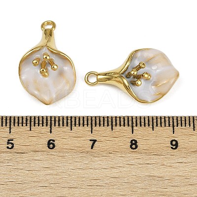 304 Stainless Steel Enamel Pendants STAS-L290-05G-1