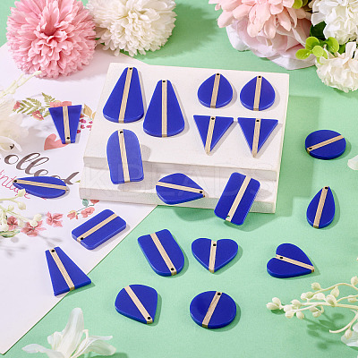 20Pcs 10 Styles Opaque Resin & Wood Pendants RESI-TA0004-68-1