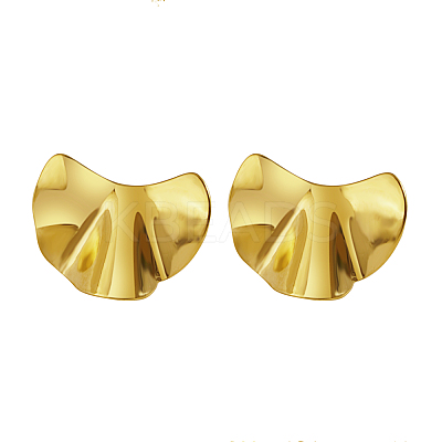 Stylish 304 Stainless Steel Irregular Stud Earrings EG3704-1-1