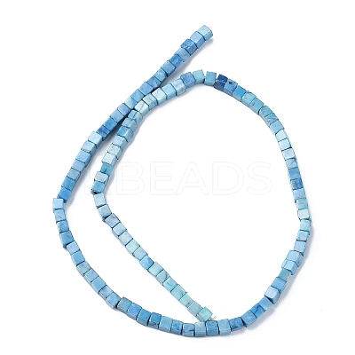Natural Howlite Beads Strands G-C135-E03-01-1