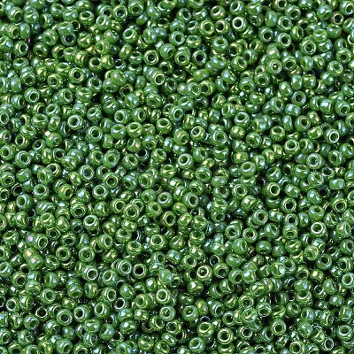 MIYUKI Round Rocailles Beads SEED-G007-RR0480-1