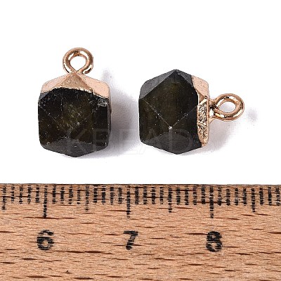 Natural Labradorite Pendants G-N359-18G-02-1