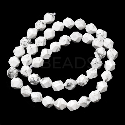 Natural Howlite Beads Strands G-Z119-A43-02-1