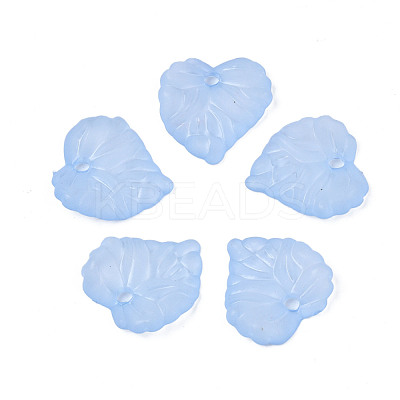 Transparent Acrylic Pendants TACR-S157-01D-1